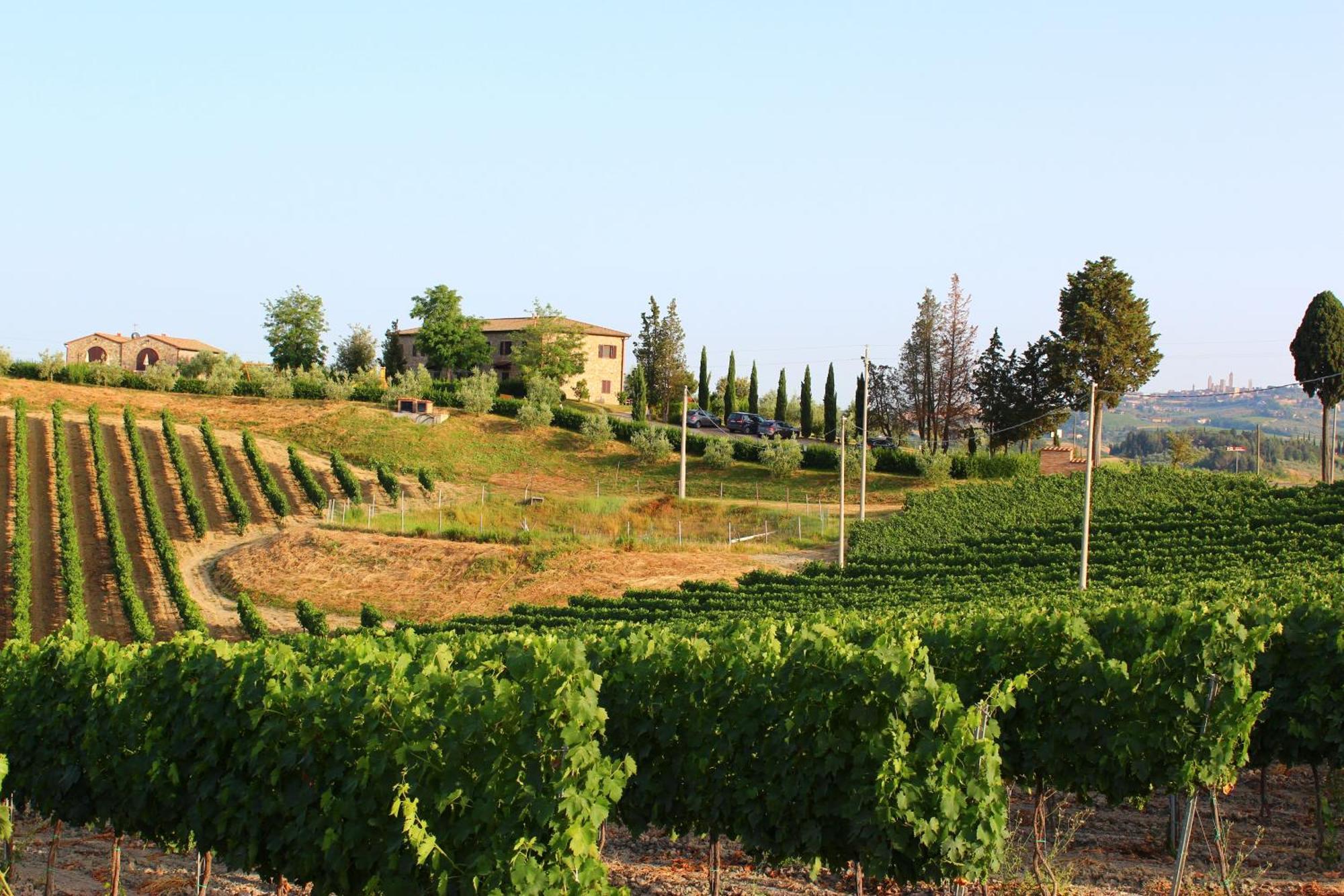 Agriturismo Macinatico San Gimignano Bagian luar foto