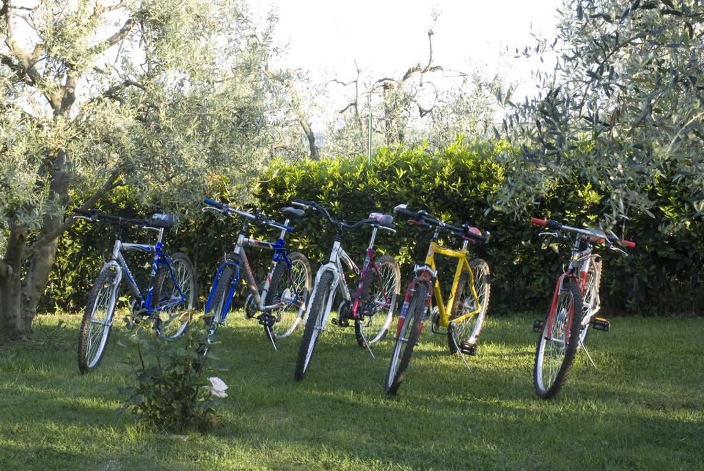 Agriturismo Macinatico San Gimignano Bagian luar foto
